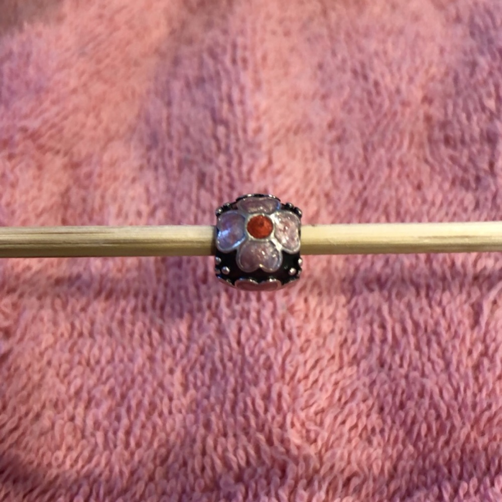 🎀🖤Retired Authentic Pandora Charm